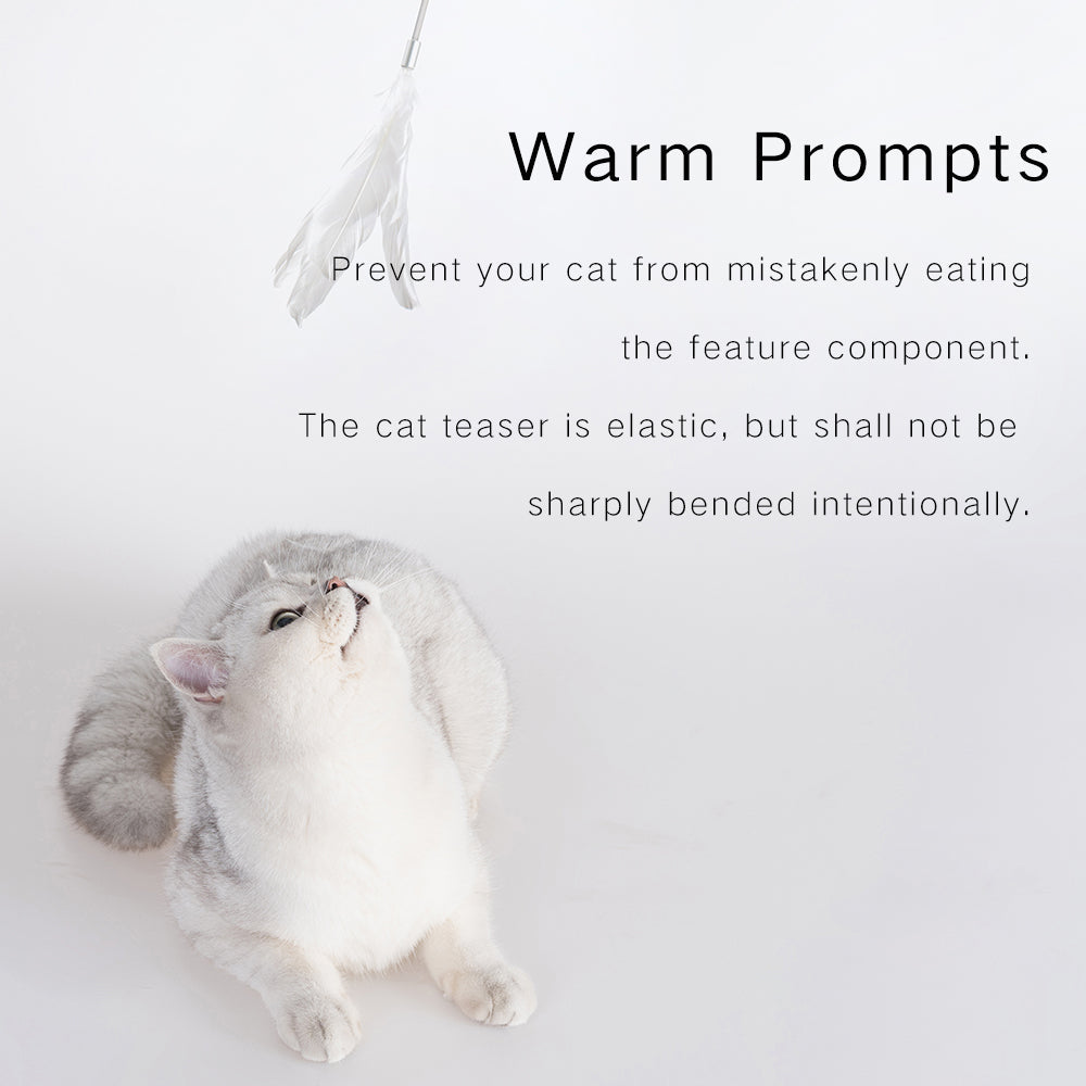 Cat Teaser—Extension Type