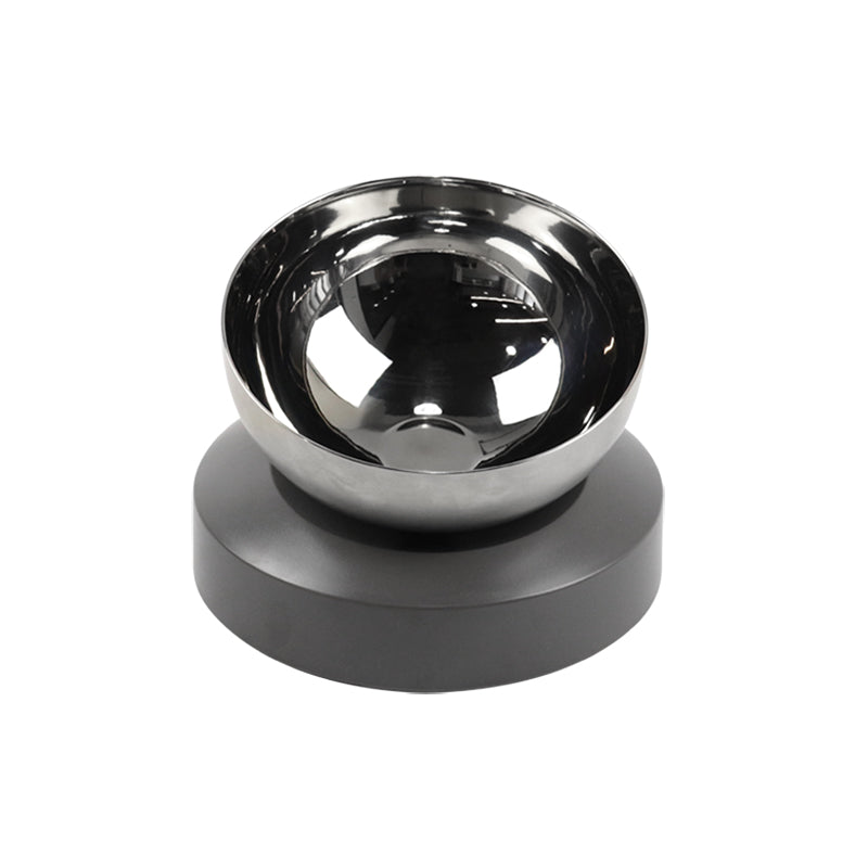 Infinite Future Pet Stainless Steel Bowl