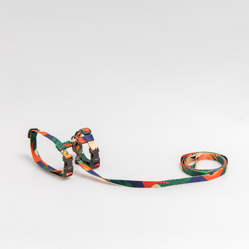 Cat Leash Combination type