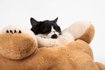 Pet Bed For Cats Papa Bear - Lazylifeshop