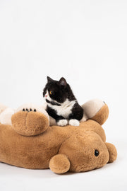 Pet Bed For Cats Papa Bear - Lazylifeshop