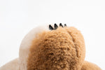Pet Bed For Cats Papa Bear - Lazylifeshop