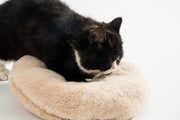 Pet Bed For Cats Papa Bear - Lazylifeshop