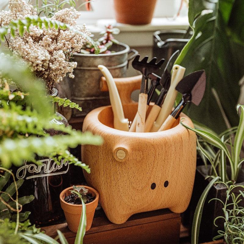 Multi Function Storage | Desktop Organization, Remote Control Holder, Pen Holder, Key Storage, Plant Pot Decoration Gift