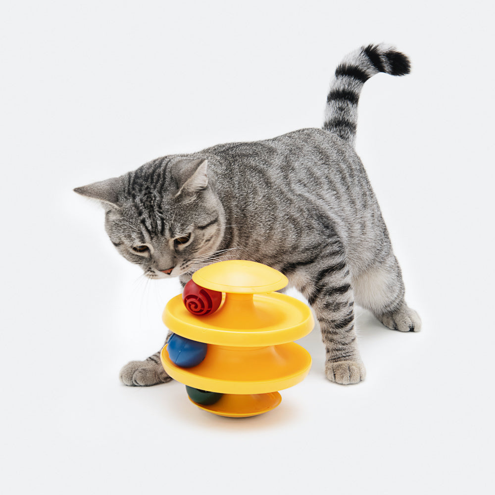 Pet Toy For Cats Tumbler with Balls & Tracks Type