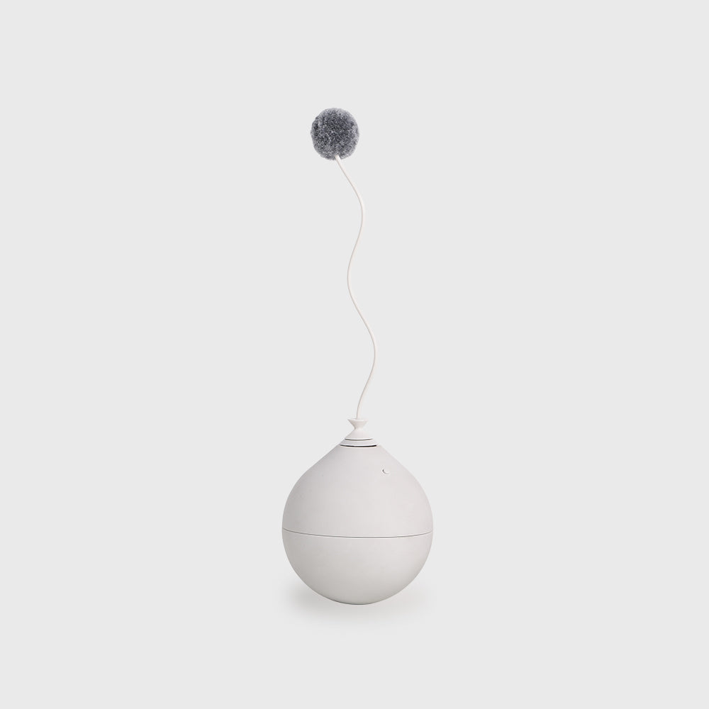 Pet toy Toy accessory for balloon