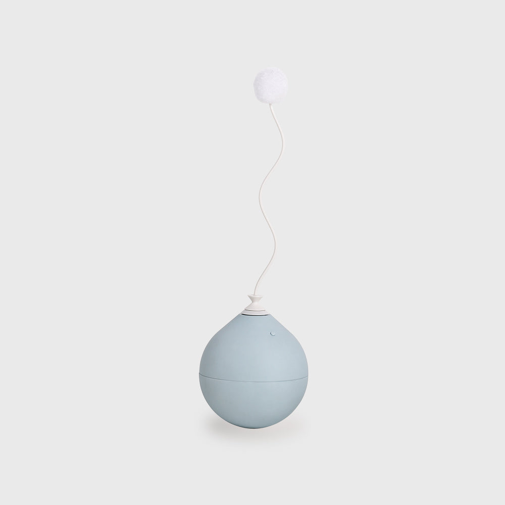 Pet toy Toy accessory for balloon