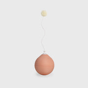 Pet toy Toy accessory for balloon - Lazylifeshop