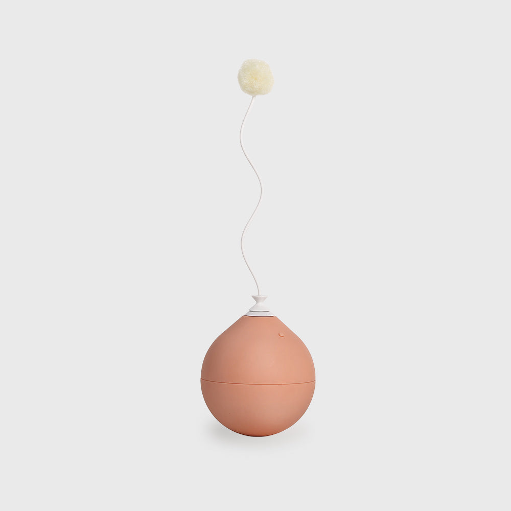 Pet toy Toy accessory for balloon