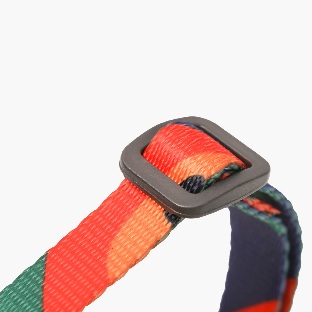 Cat Leash Combination type