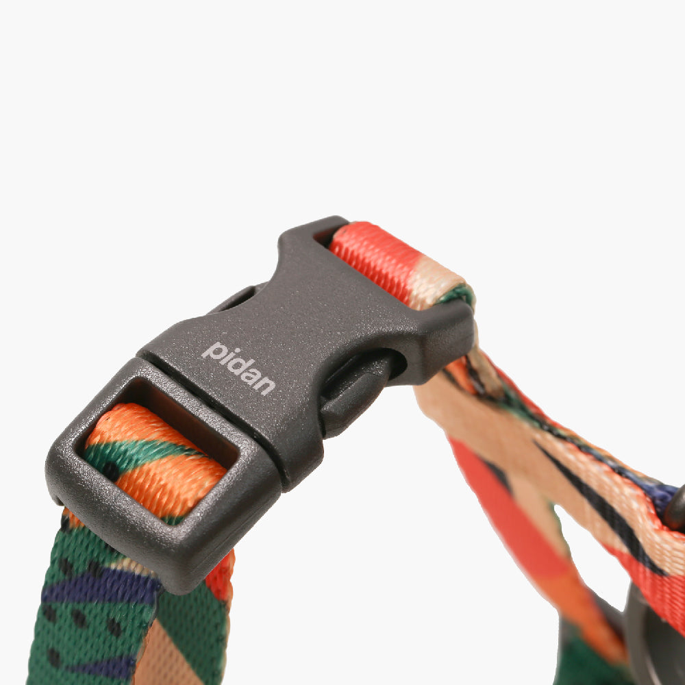 Cat Leash Combination type
