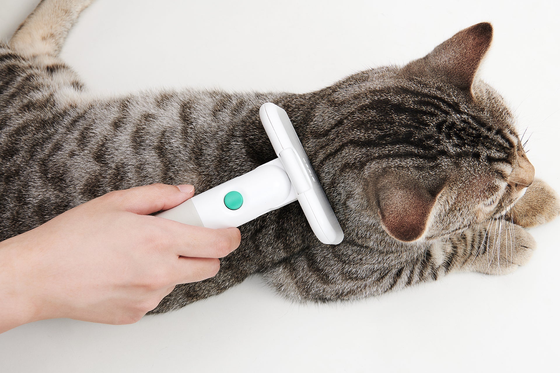 Pet Comb