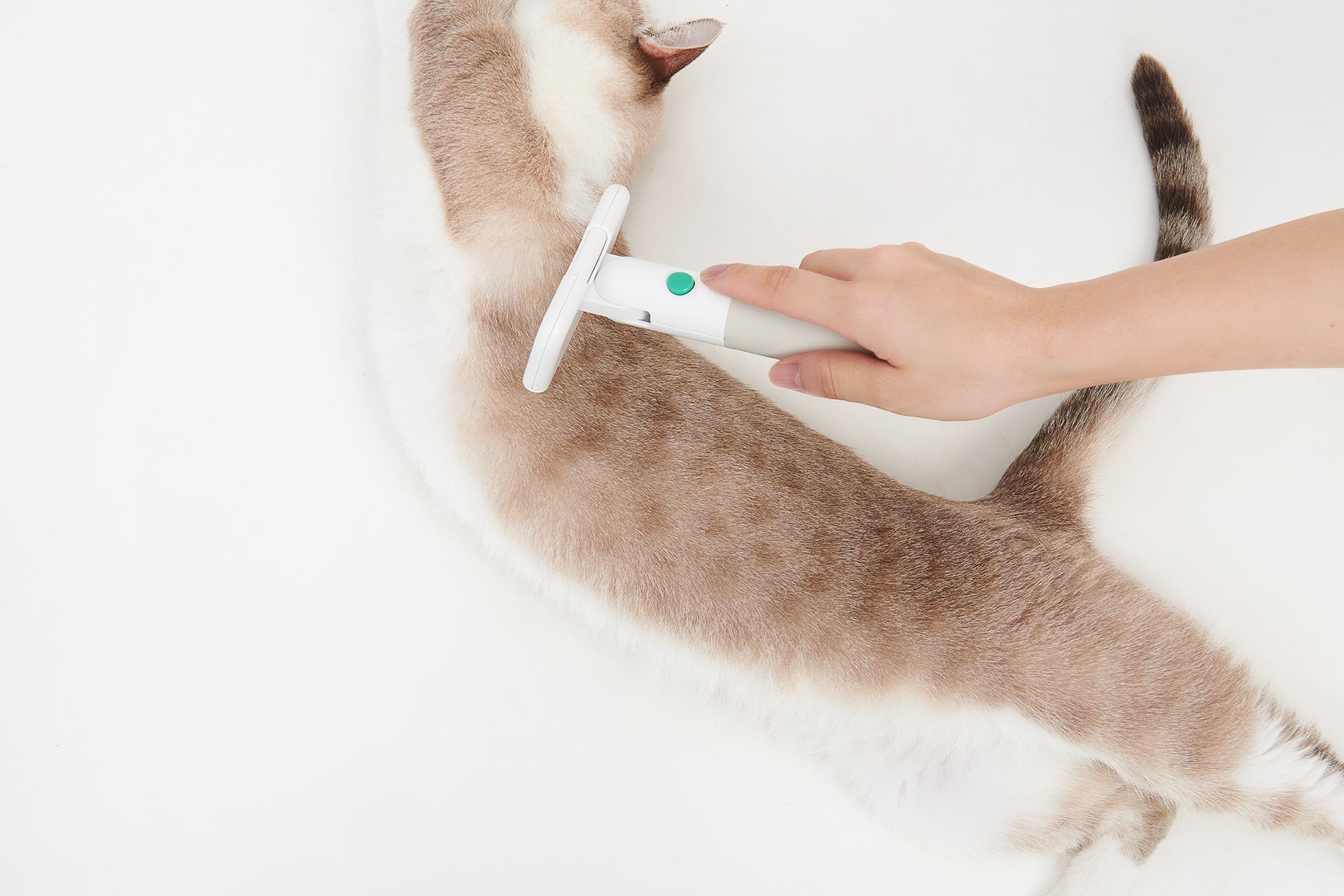 Pet Comb
