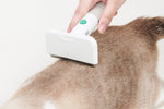 Pet Comb - Lazylifeshop