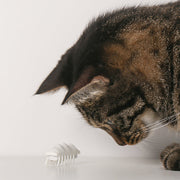 Pet Toy for Cat Electronic Little Snow Monster type - Lazylifeshop