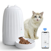 Music Automatic Cat Feeder - Lazylifeshop