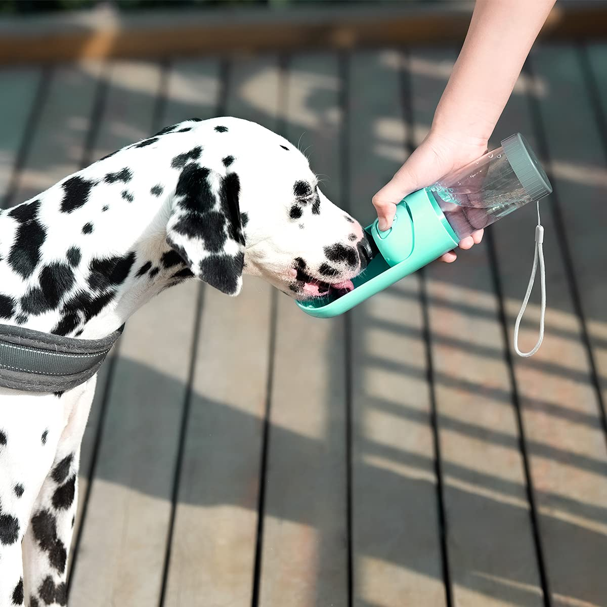 Botella de agua plegable para mascotas