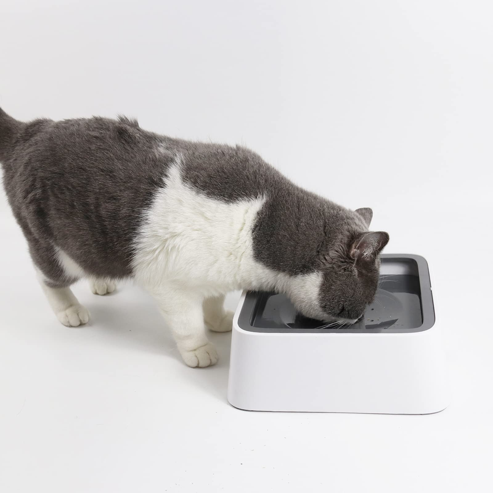 Splash Proof Pet Water Bowl