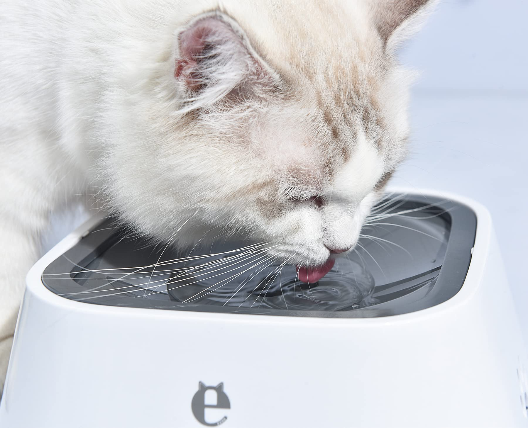 Splash Proof Pet Water Bowl