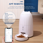 Music Automatic Cat Feeder - Lazylifeshop