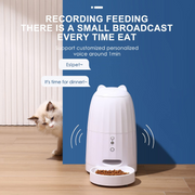 Music Automatic Cat Feeder - Lazylifeshop