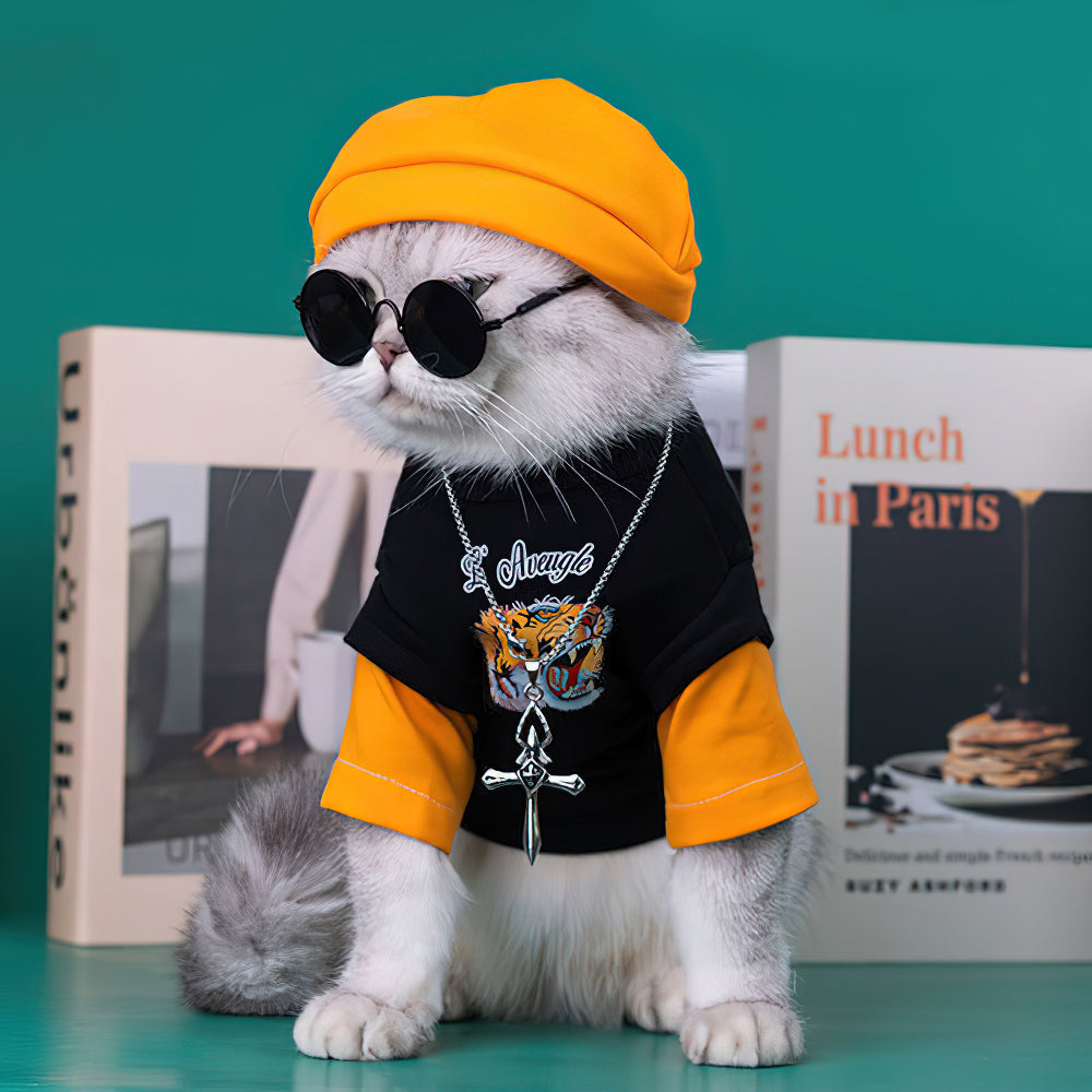タイガーアイコンハンサムなヒップホップスタイルのメガネと猫の服