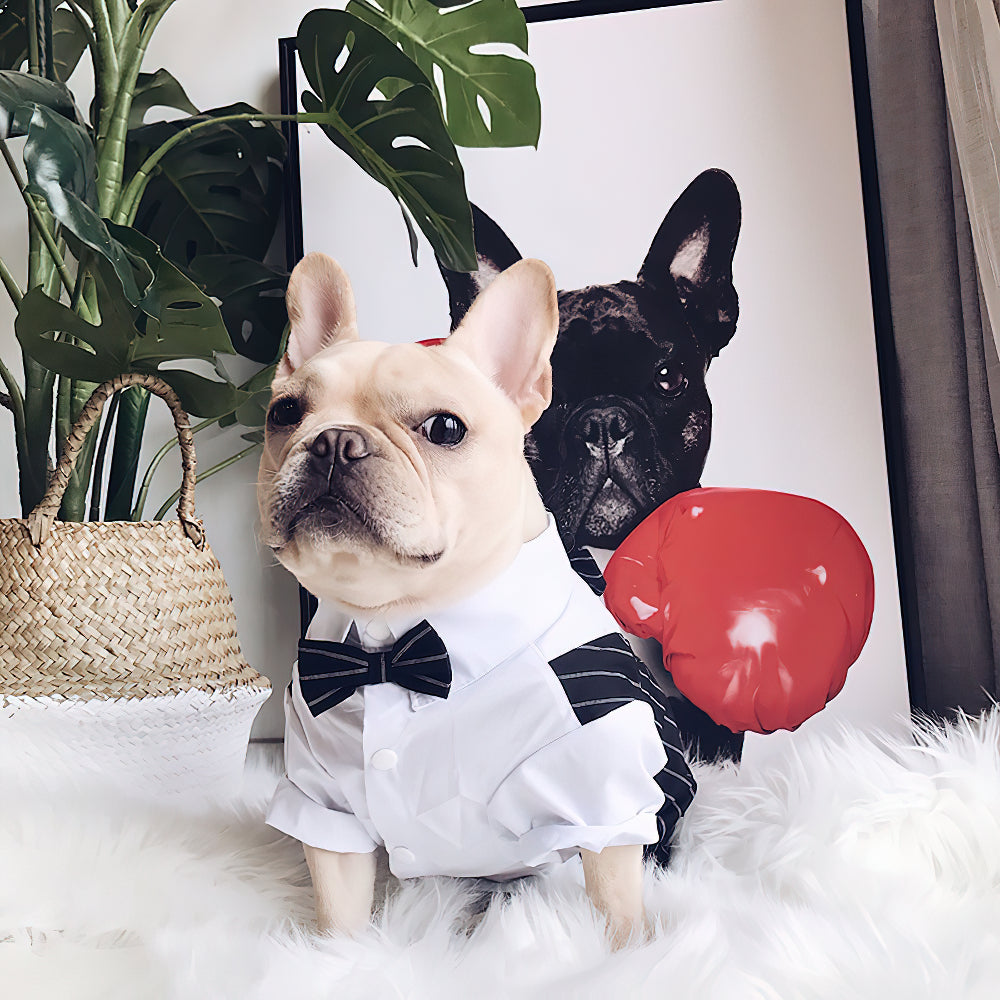 Pet Dogs Prince Summer Thin Tuxedo Traje de fiesta de bodas Ropa formal