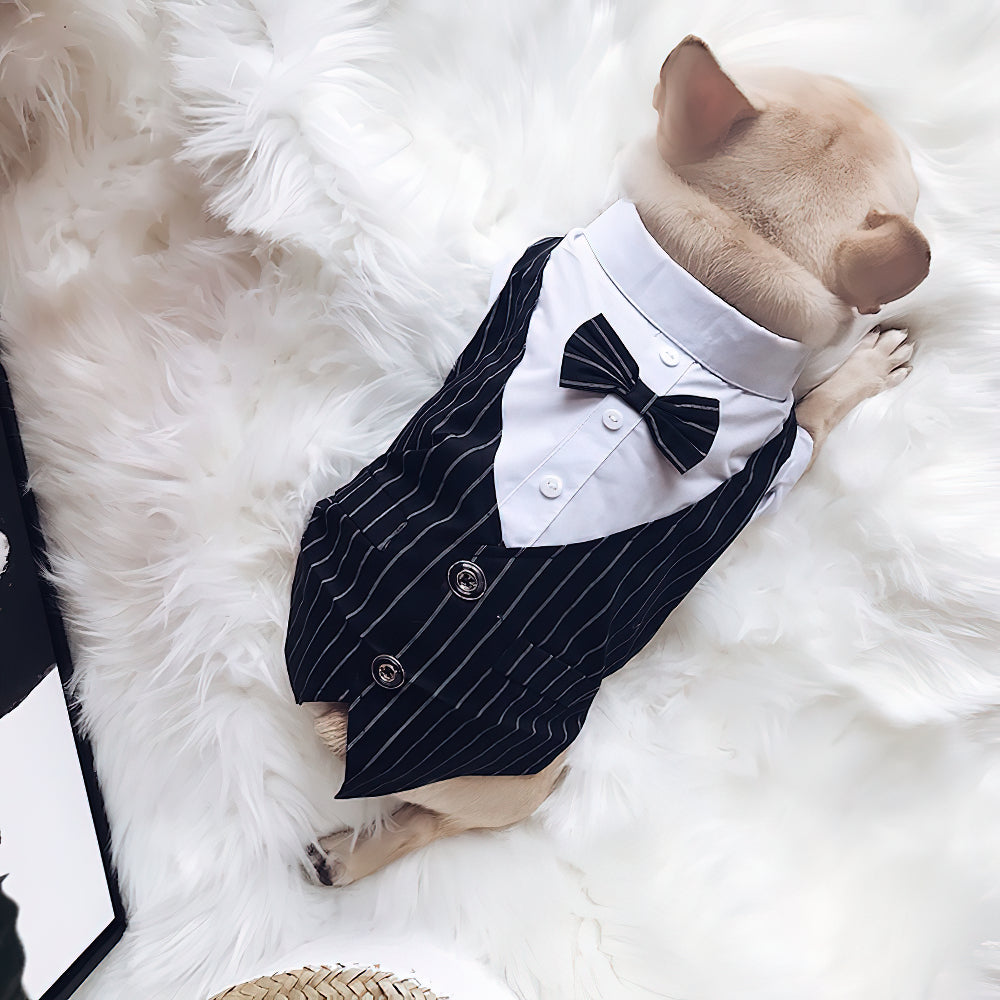 Pet Dogs Prince Summer Thin Tuxedo Wedding Party Suit Formal Wear Black / M