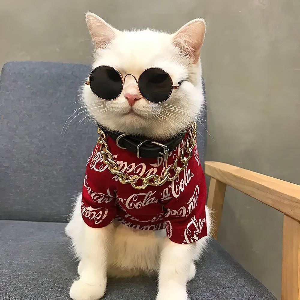 Disfraz de gato social estilo hip-hop con gafas y collar dorado