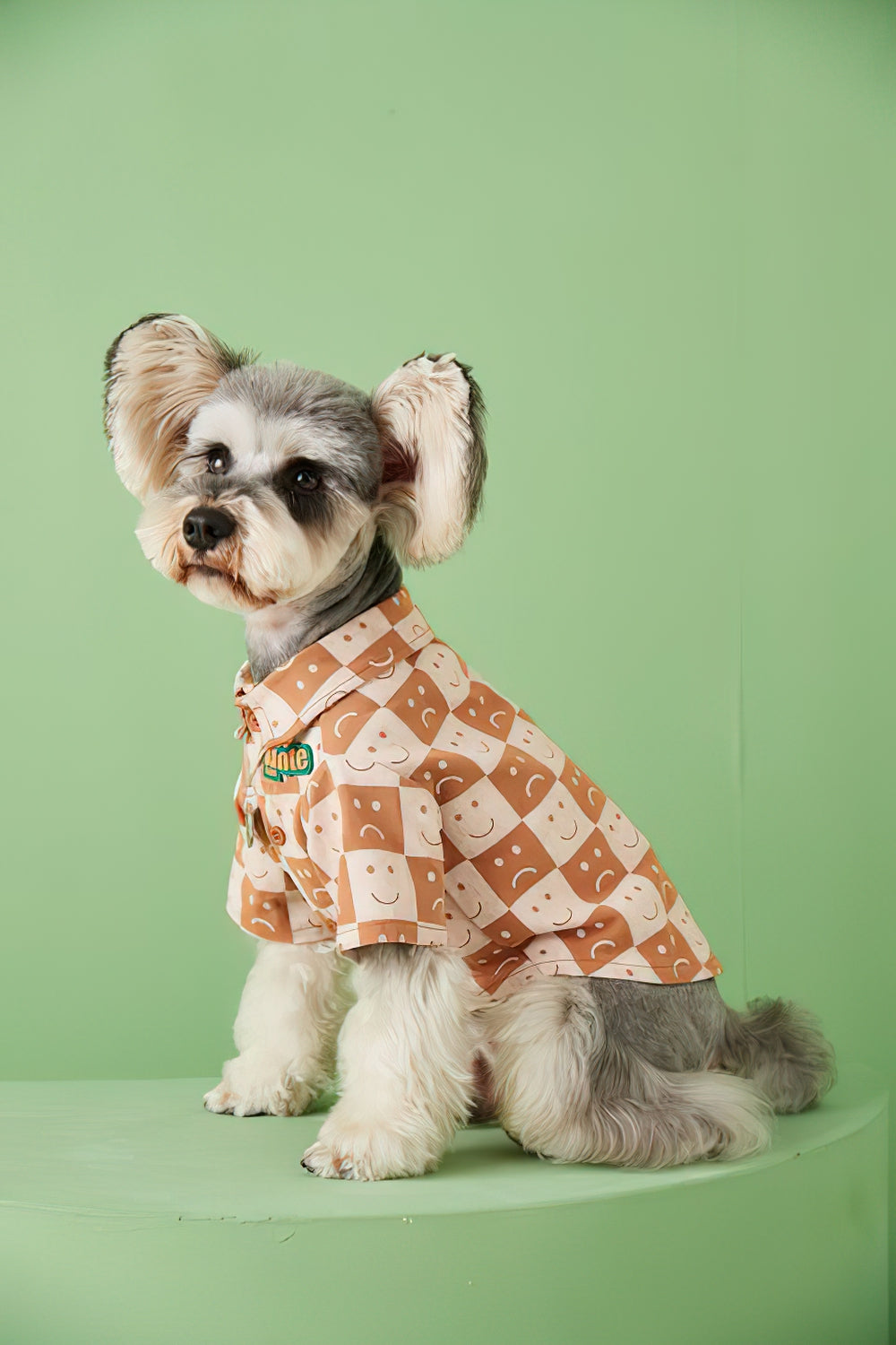 Mascota perro primavera y otoño delgada sonrisa perrito camisa perro ropa cachorro ropa