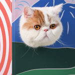 Scratching Board for Cat House Type - Lazylifeshop
